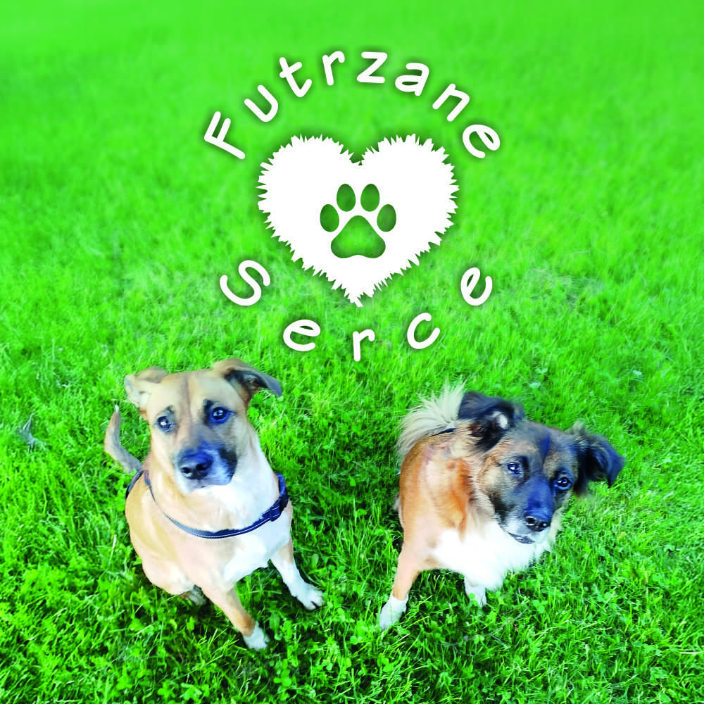 Futrzane Serce - strona główna